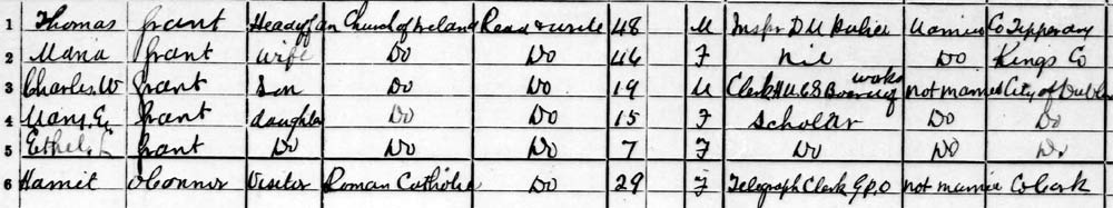 1901 census thomas grant